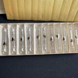 Box of 12 knife holders crystal cut XXe