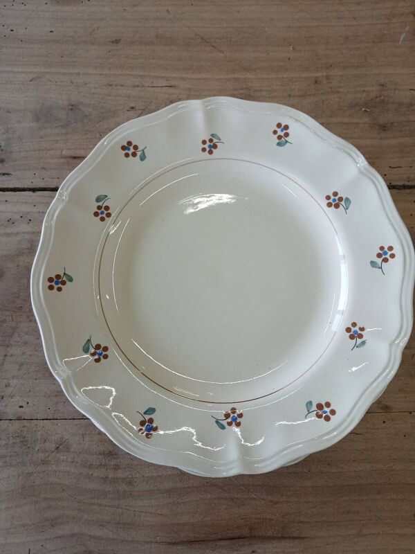 9 assiettes plates anciennes Digoin Sarreguemines