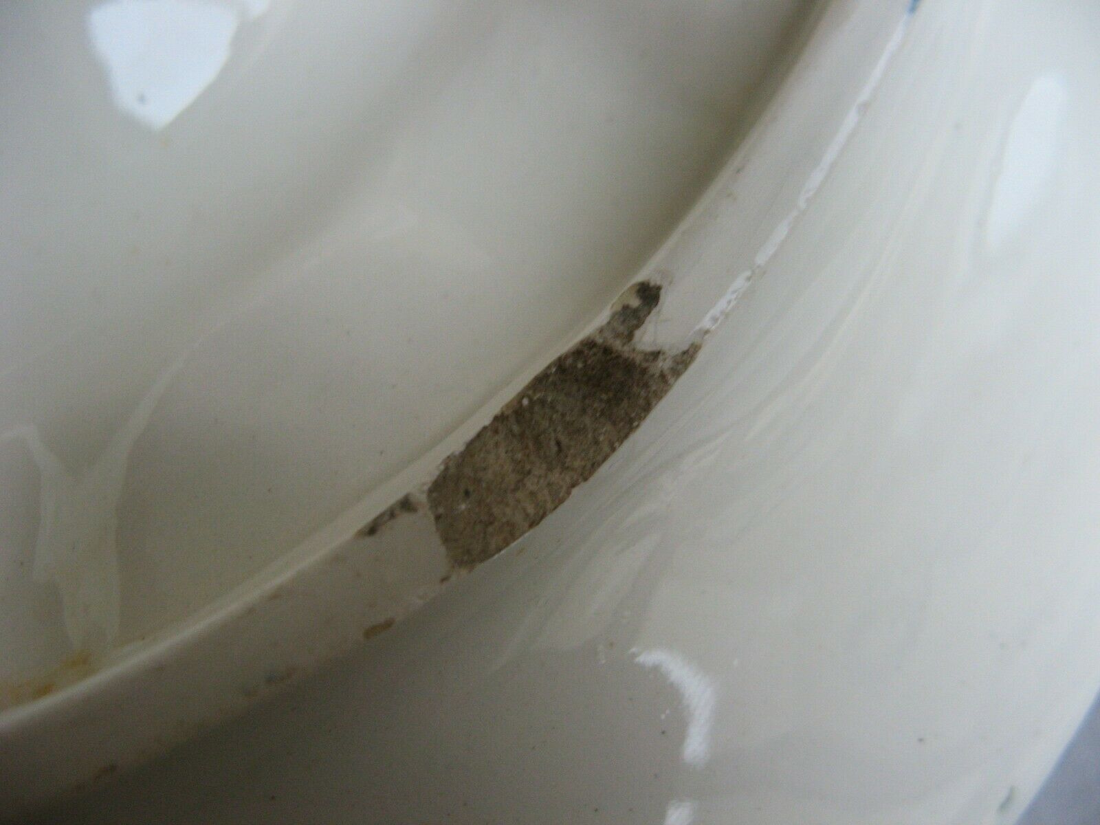 Oyster dish in majolic or dabbling for 12 shells
