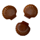Sandstone scallop shells