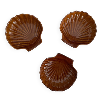 Sandstone scallop shells