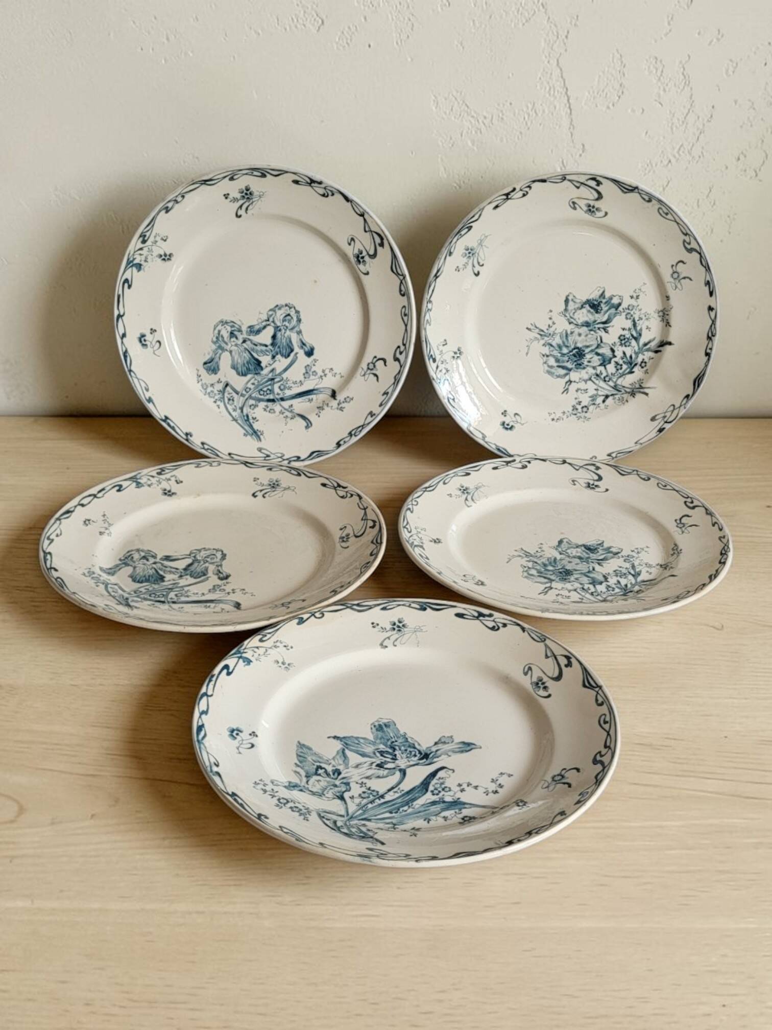 5 earthenware plates from Creil and Montereau "Crémone", ironstone Art Nouveau