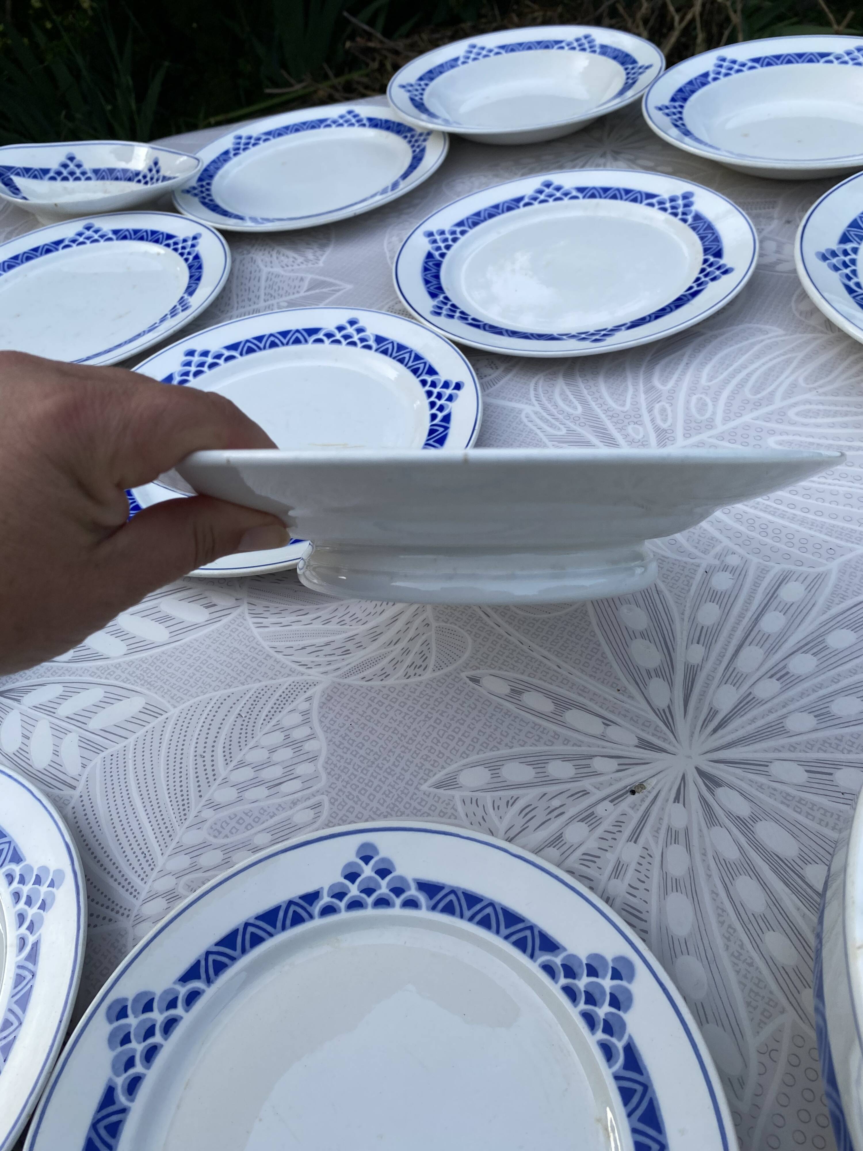 Magnifique Service de Table Vintage – Modèle "Ariège" (Digoin Sarregue