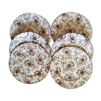 Lot 6 assiettes plates