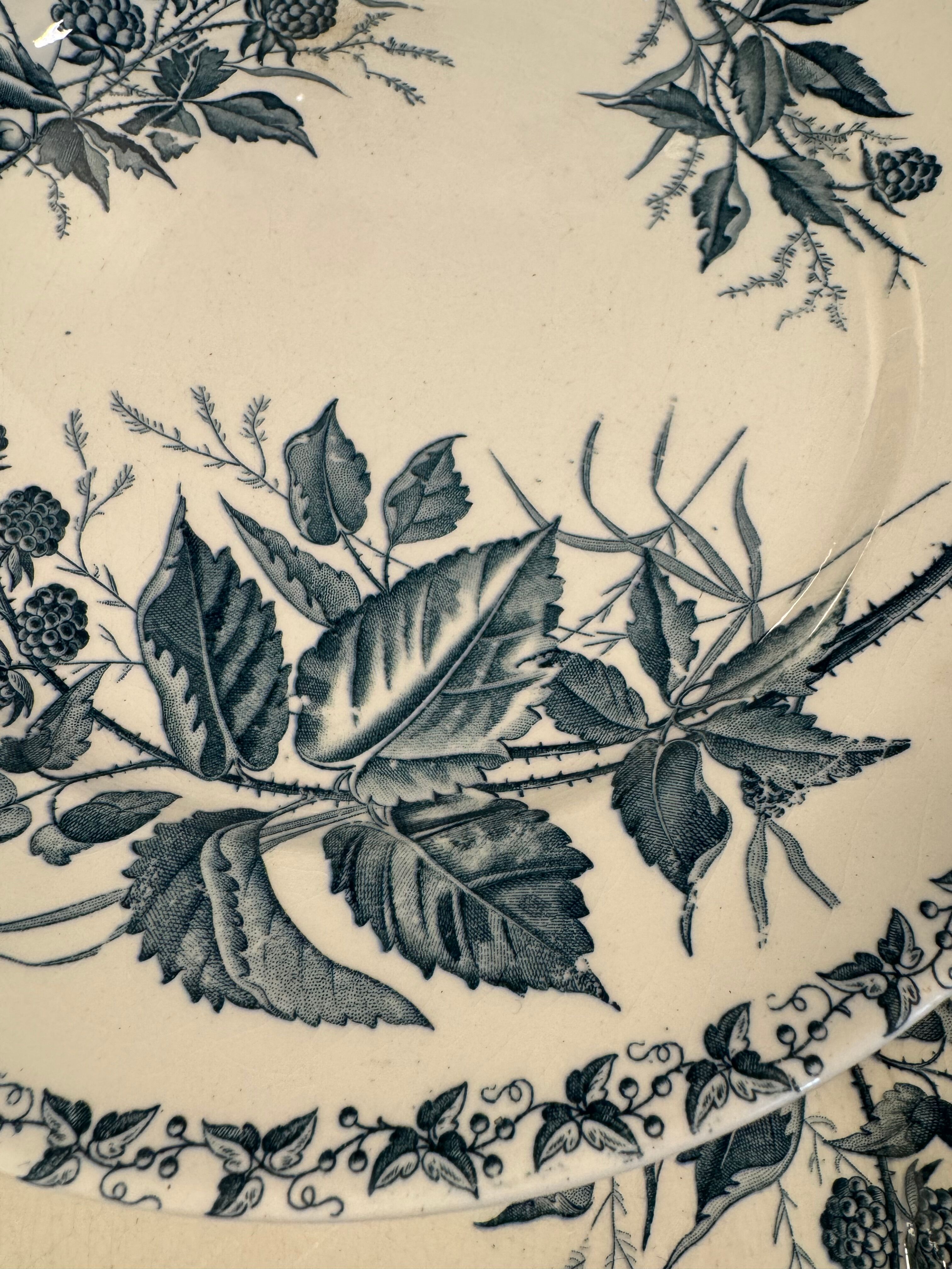7 deep plates in ironstone "Mûre" Badonviller