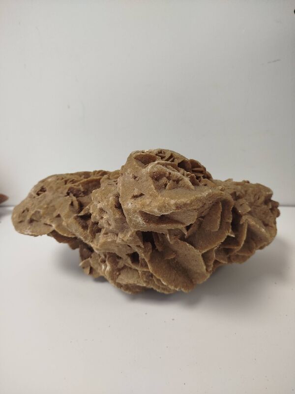 Rose des sables naturelle sculptée par le vent – +7 kg minérale décorative