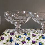 3 Art Deco Champagne Coupes in Engraved Crystal with Daisies