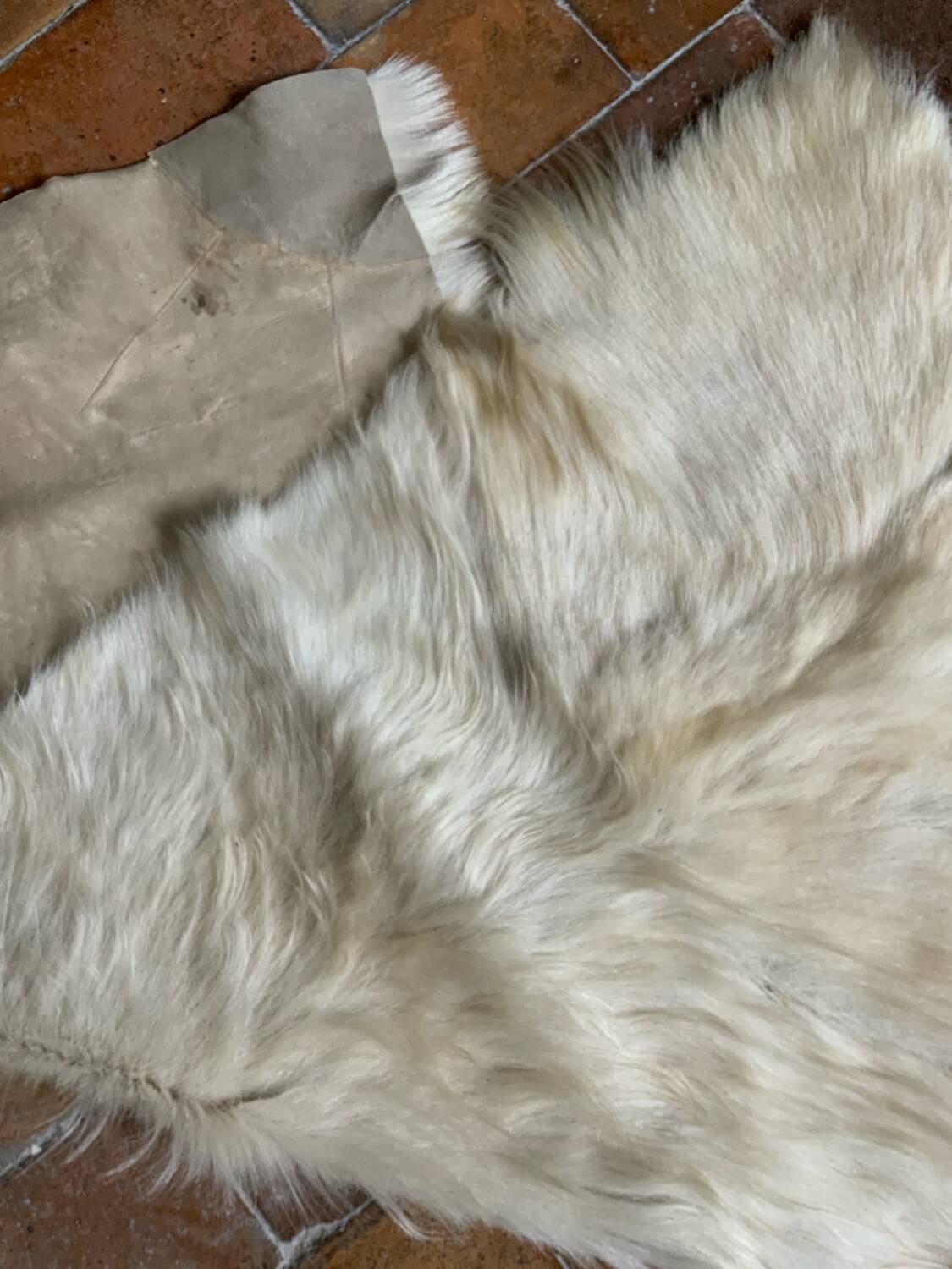 Vintage goatskin