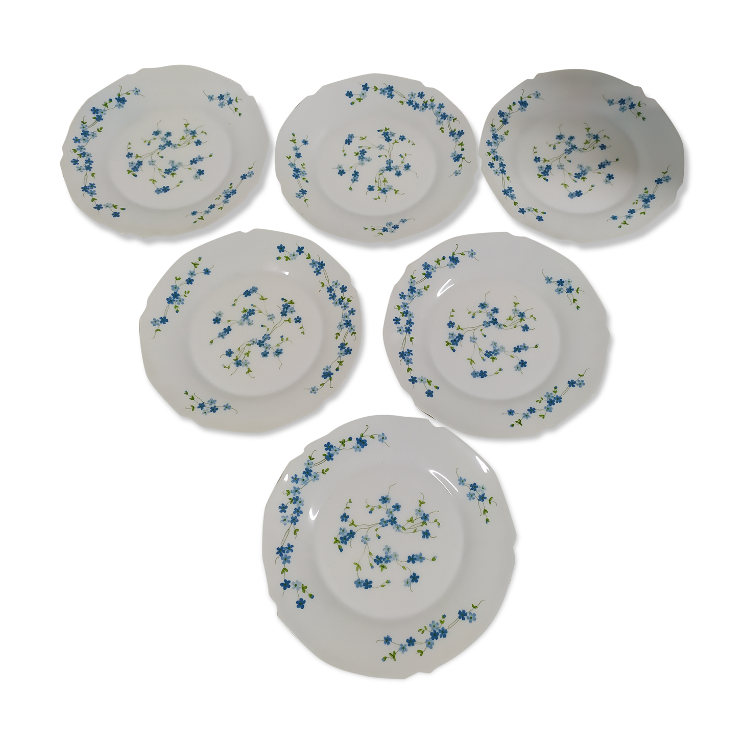 Lot de 6 assiettes plate Arcopal Véronica Myosotis fleur bleu vintage