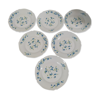 lot of 6 flat plates Arcopal Veronica Myosotis vintage blue flower
