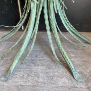 Vintage console in patinated metal with reed leaves.