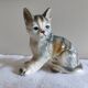 Figurine, Cat statuette, in old 20th century enameled ceramic. Animal figurine, vintage feline