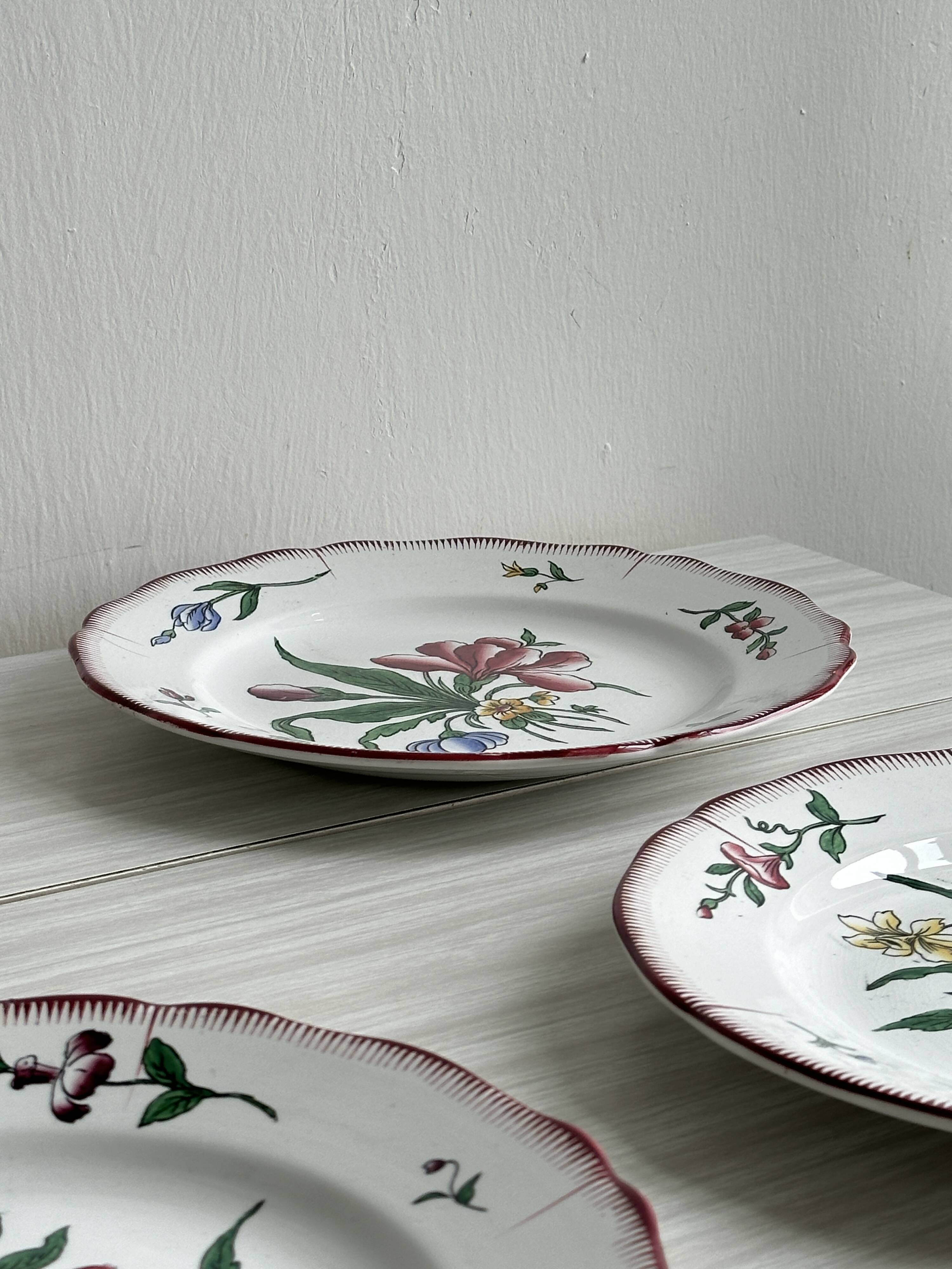 5 plates with colorful Sarreguemines floral designs.