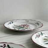 5 plates with colorful Sarreguemines floral designs.