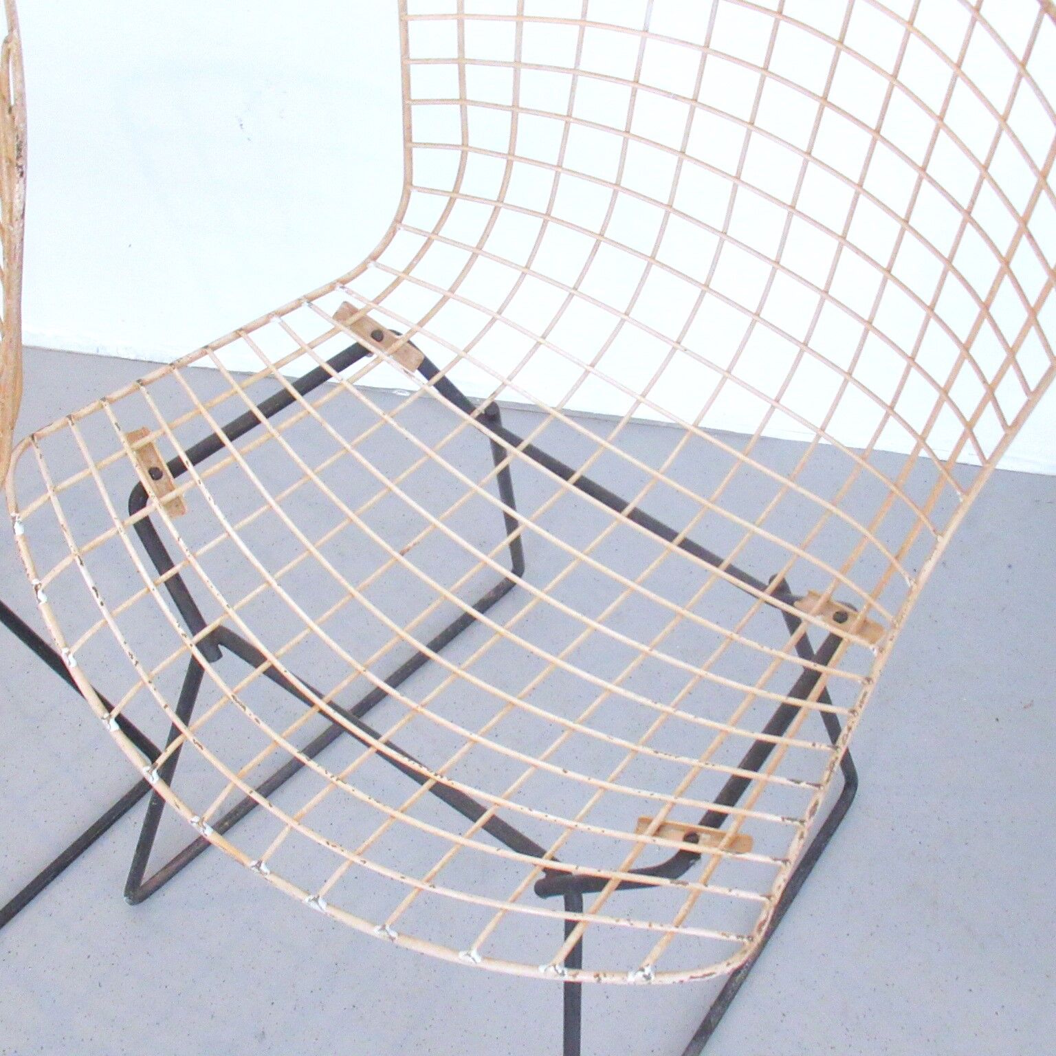 Pair of chairs Harry Bertoia Knoll International