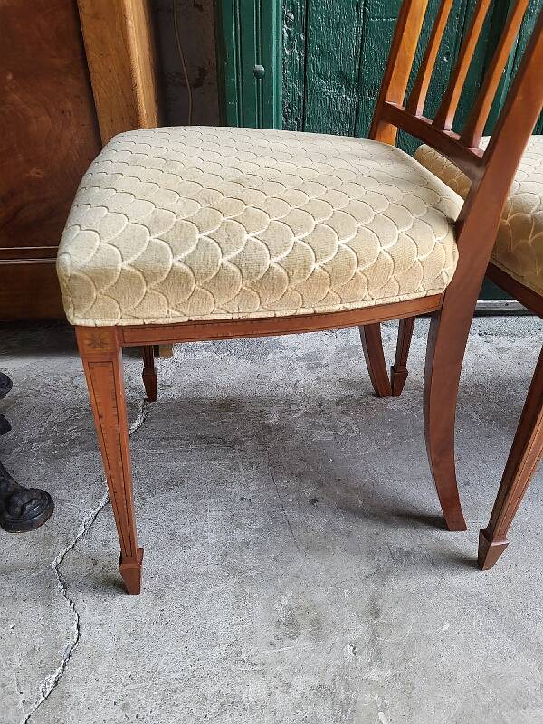 Series of 4 directory chairs in marquetry and cherry wood