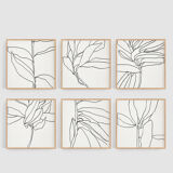 Set of 6 square giclee prints. Botanical series. 30x30