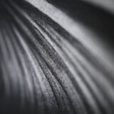 "Shape of femininity" Contemporary painting Harrison Prignet