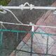 Old child bed wrought iron