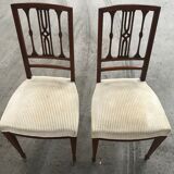 Pair of English chairs in beige velvet