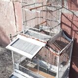 Birdcage "Fanton, Paris"