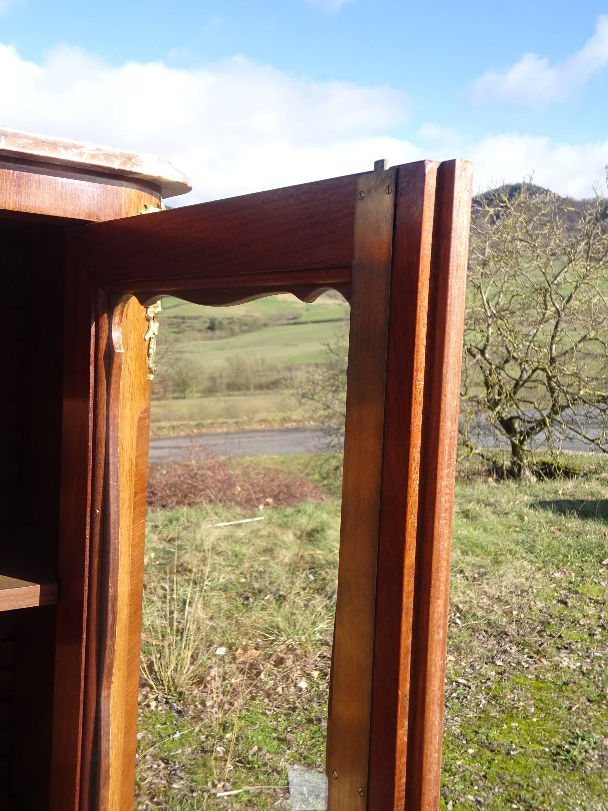 Glass library with rosewood marquetry in the Louis XV style.