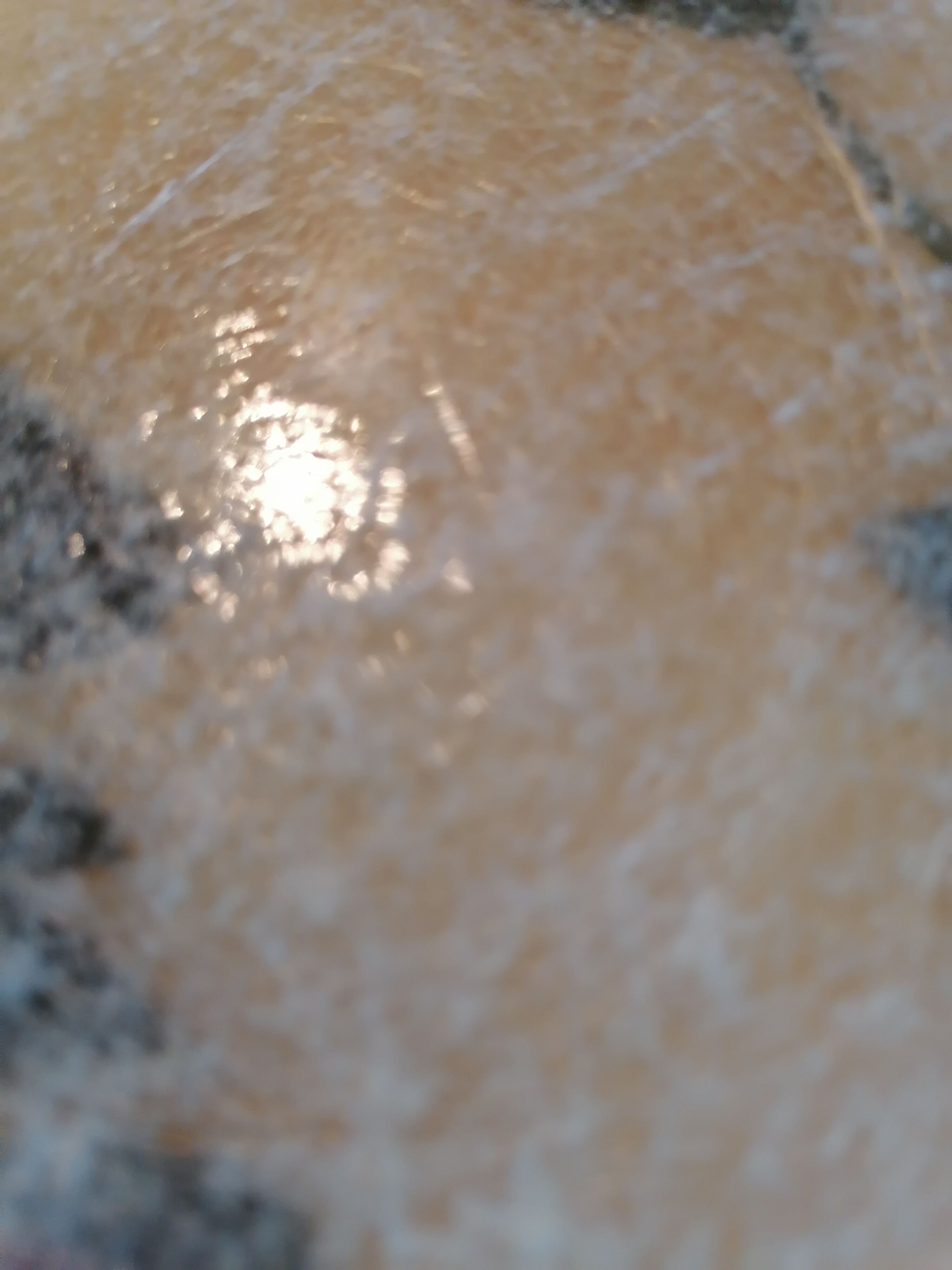 Flower meal tray 1960