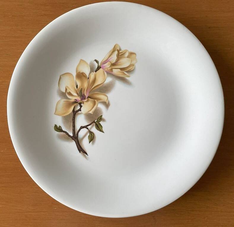 6 antique flat plates in Saint-Amand earthenware (Nord)