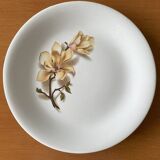 6 antique flat plates in Saint-Amand earthenware (Nord)