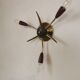 Brass Sputnik ceiling or wall light