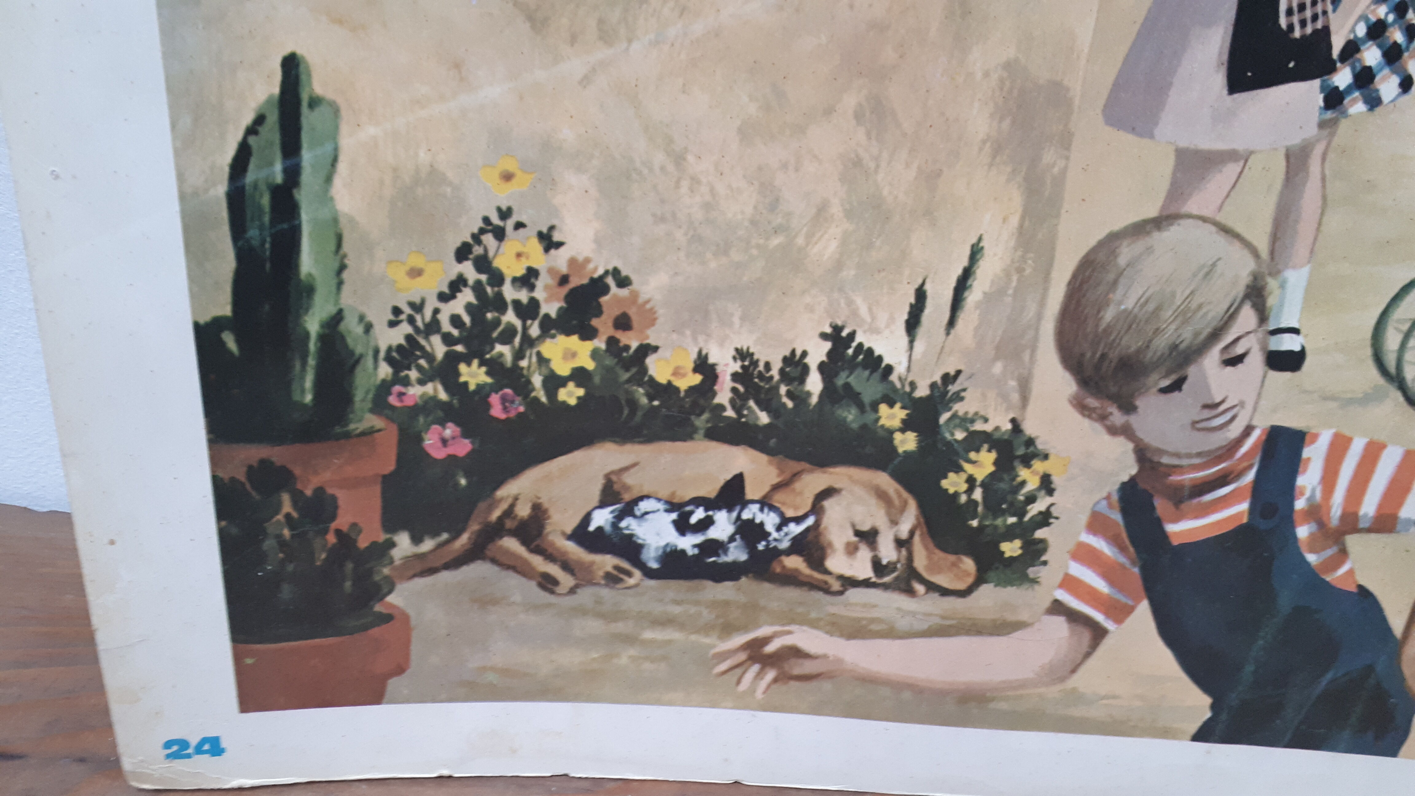 Map displays school lesson 'Village life' vintage 1967