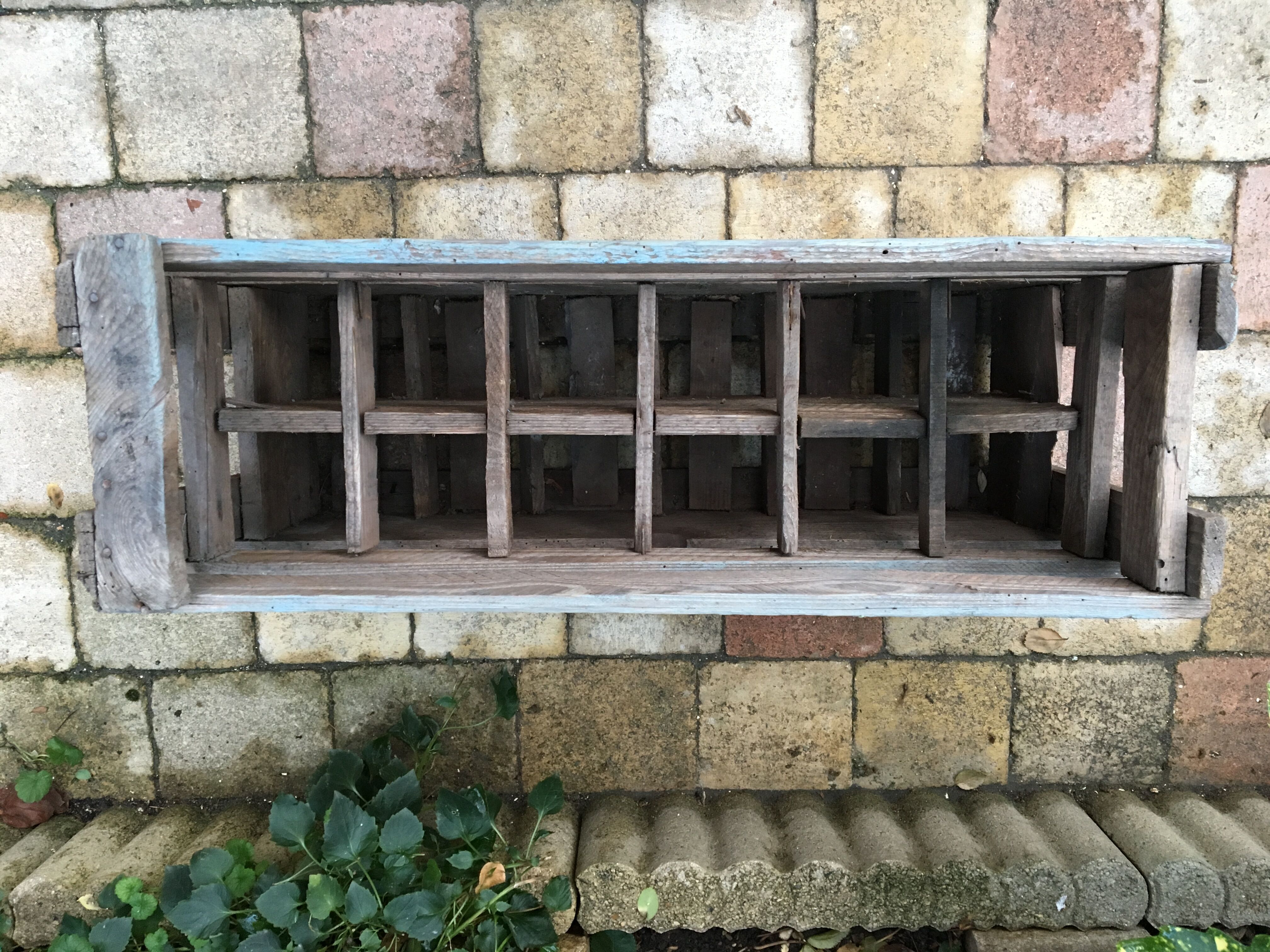 Old bottles wooden door