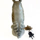Lampe de table ou veilleuse zoomorphe vintage