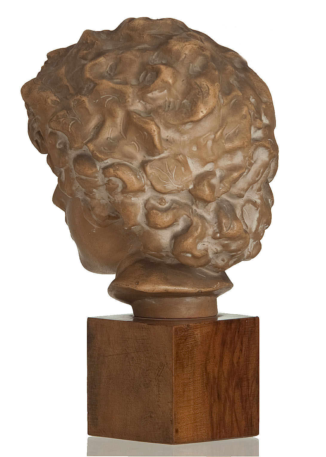 Ephebe terracotta bust