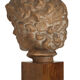 Ephebe terracotta bust
