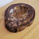 Pocket Video Pierre Fossilised Tree Fossil Section 1.66 Kg