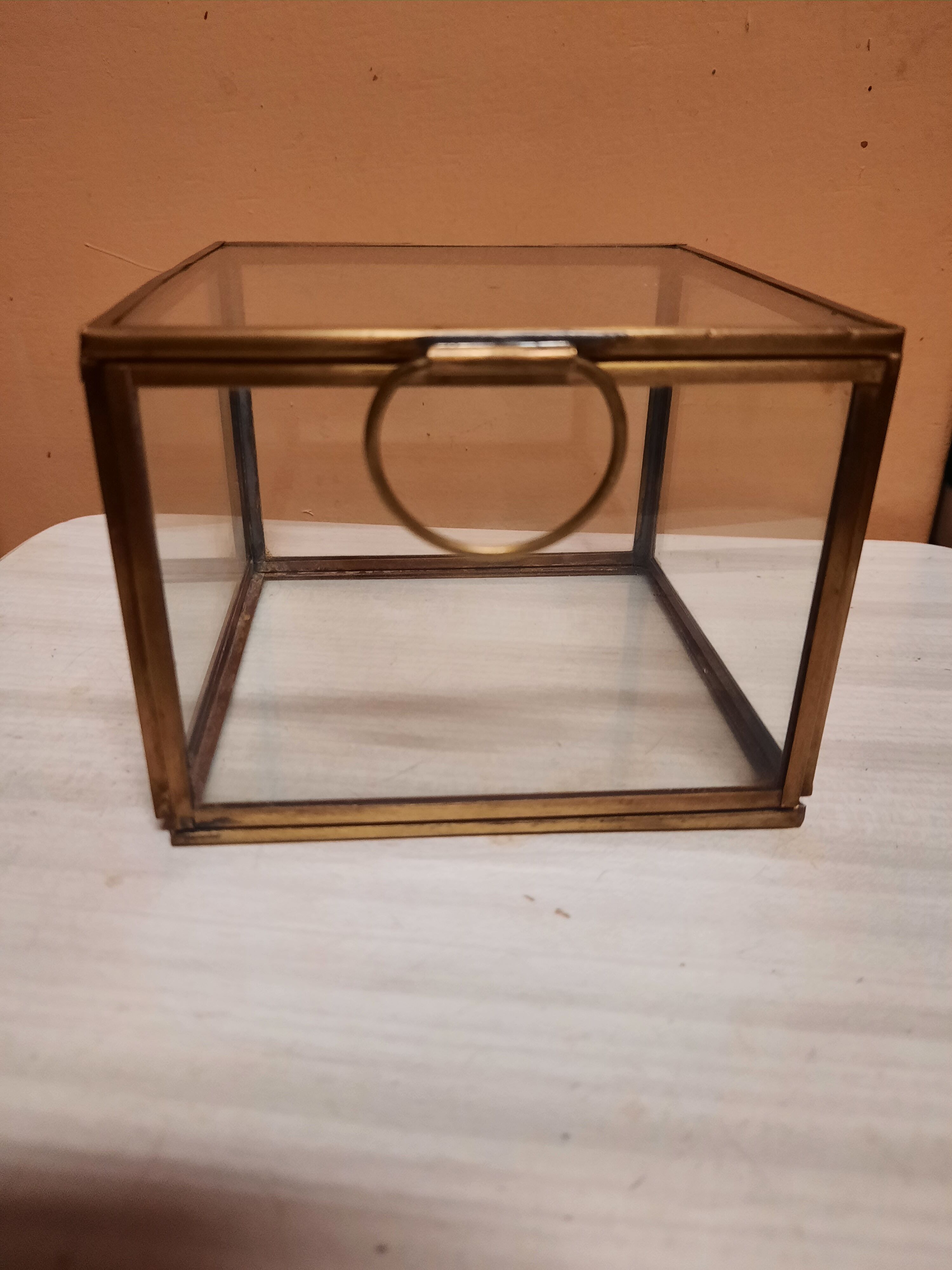 Glass and brass showcase box