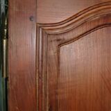 Paire de portes d'armoire ancienne XIXème ou antérieure