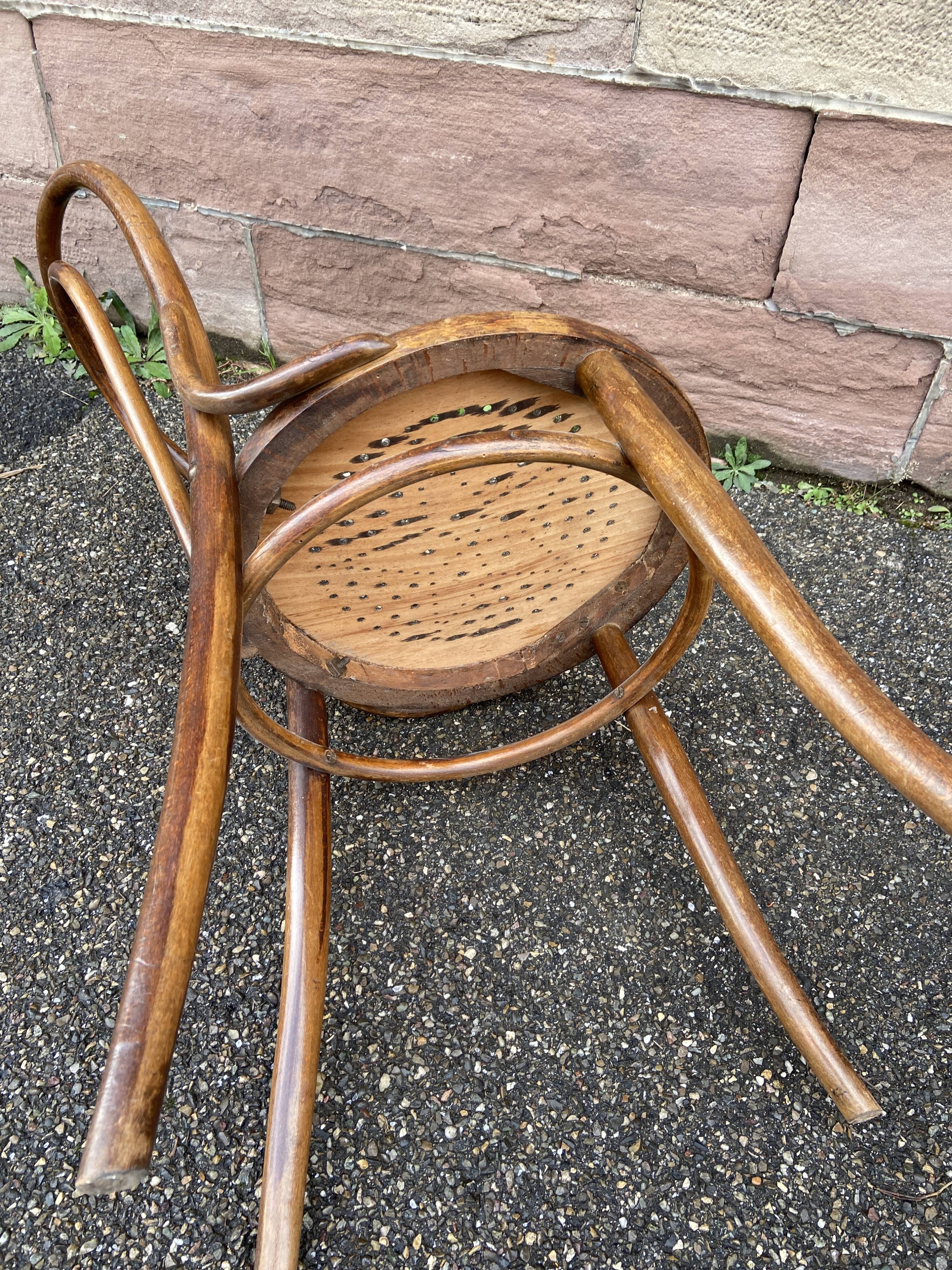 Chaise bistrot café 1920s thonet fischel bois courbé