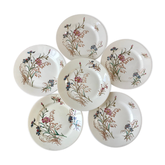 Set of 6 dessert plates Terre de Fer Lunéville model Bleuet late nineteenth