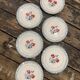 Lot of 6 plates Digoin Sarreguemines model Marinette