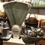 Berkel market gardener's scale