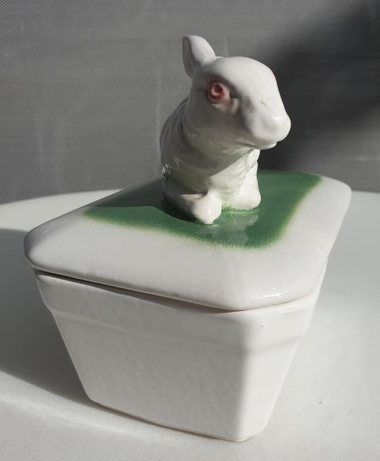 Pot terrine rabbit of Bavent in white earthenware on square of greenery