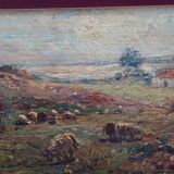 troupeau de peinture à l'huile antique avec une paysanne - Tito Pellicciotti (1871-1950)