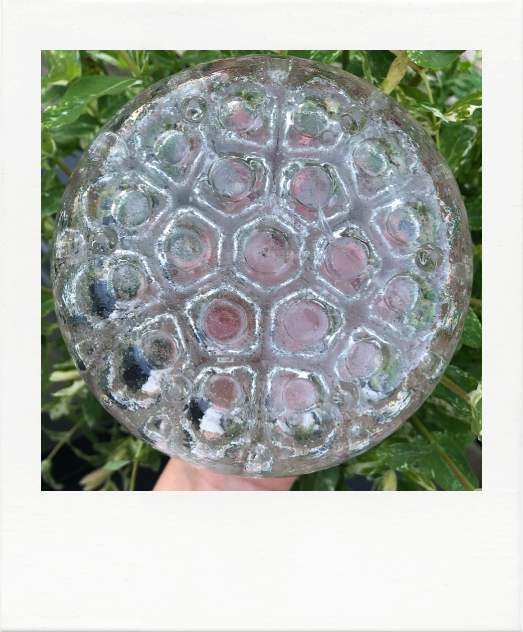 Mid 19-hole flower picks