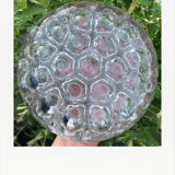 Mid 19-hole flower picks