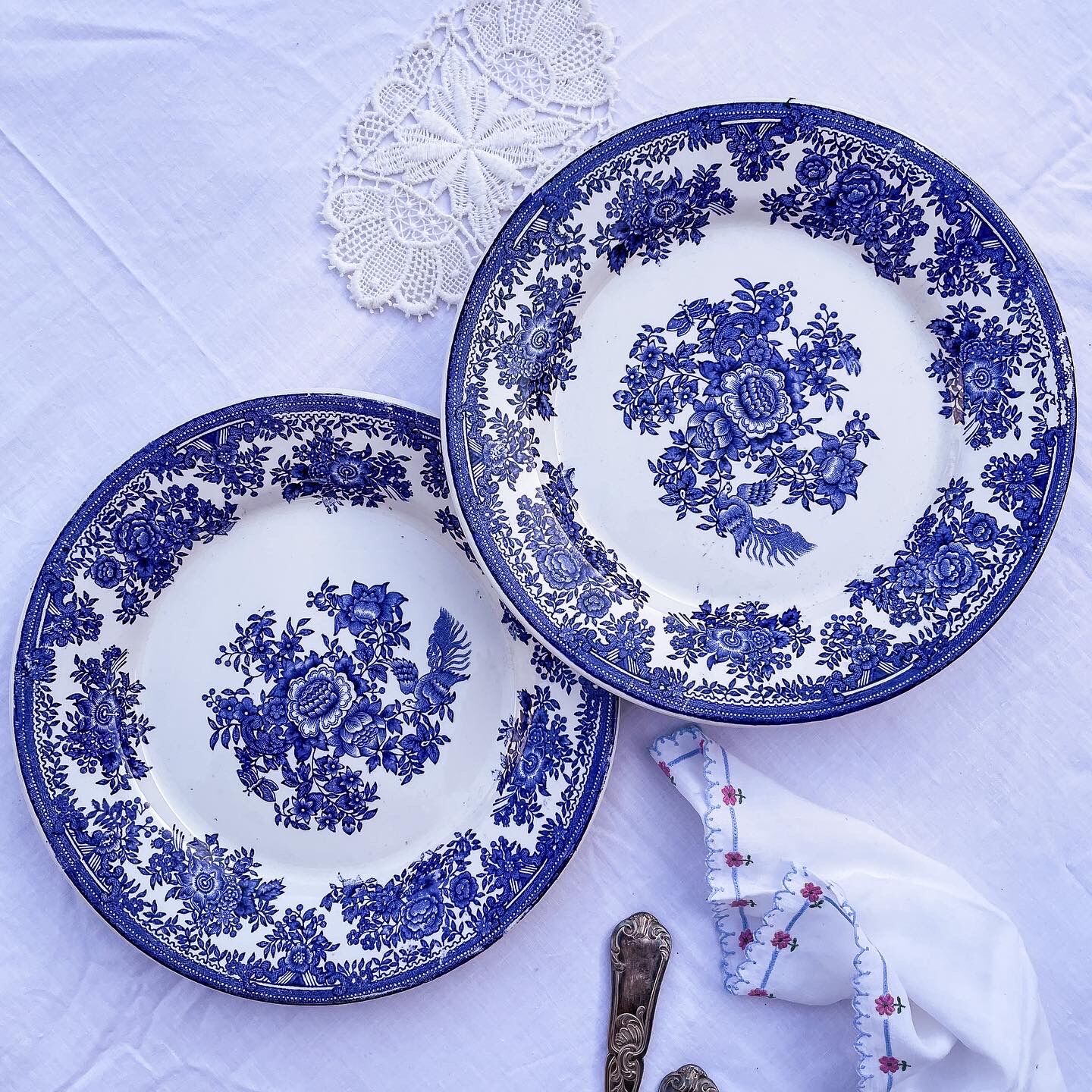 Duo of 2 flat plates Portuguese iron earth