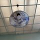 Blue/white glazed ceramic suspension