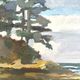 Oil on canvas rocky coast under a stormy sky