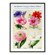 Poster featuring bindweed, cosmos, dahlia and datura